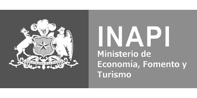 Logo INAPI